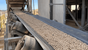 Correias transportadoras para fertilizantes: o que considerar